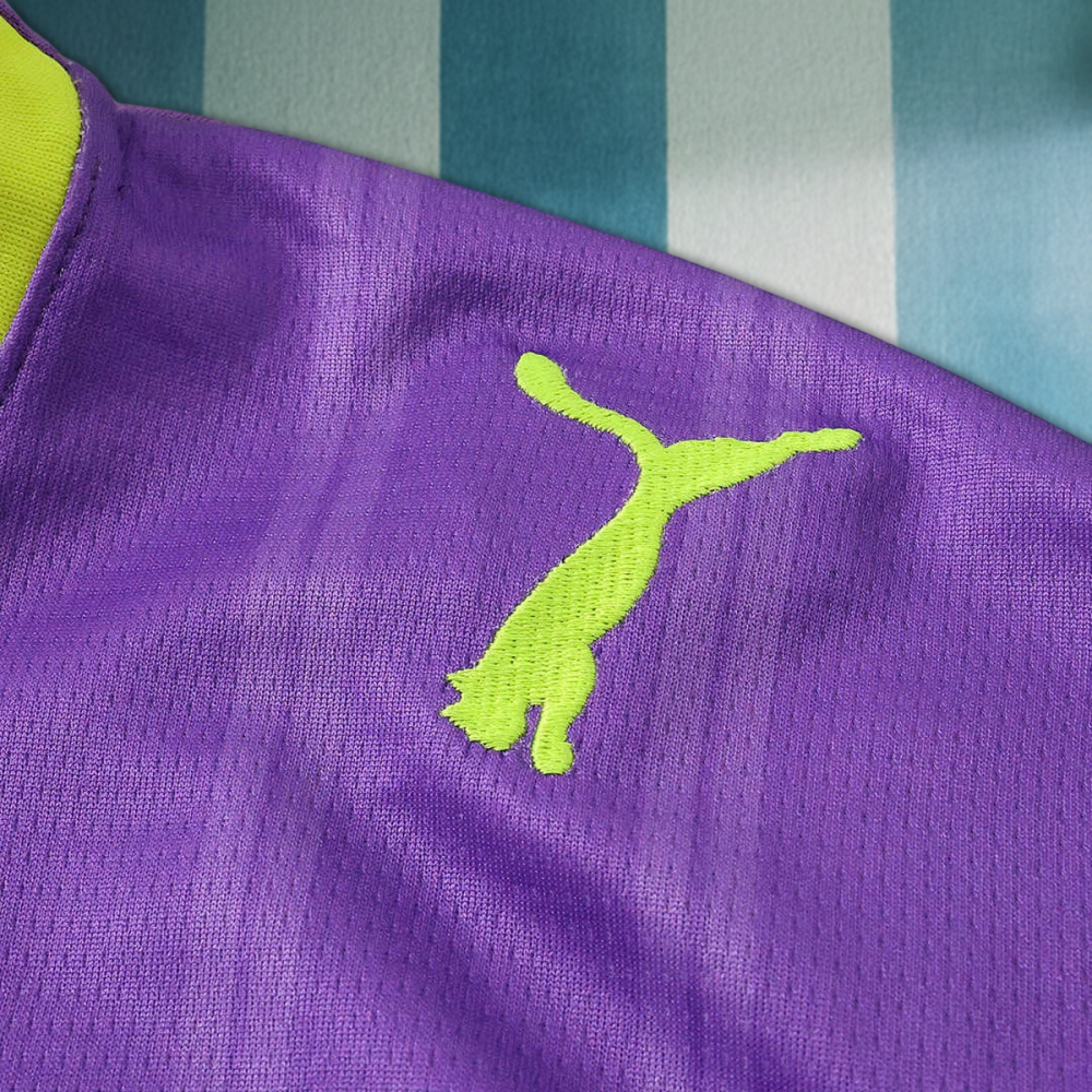 26/27 season Borussia Dortmund  third Fan version