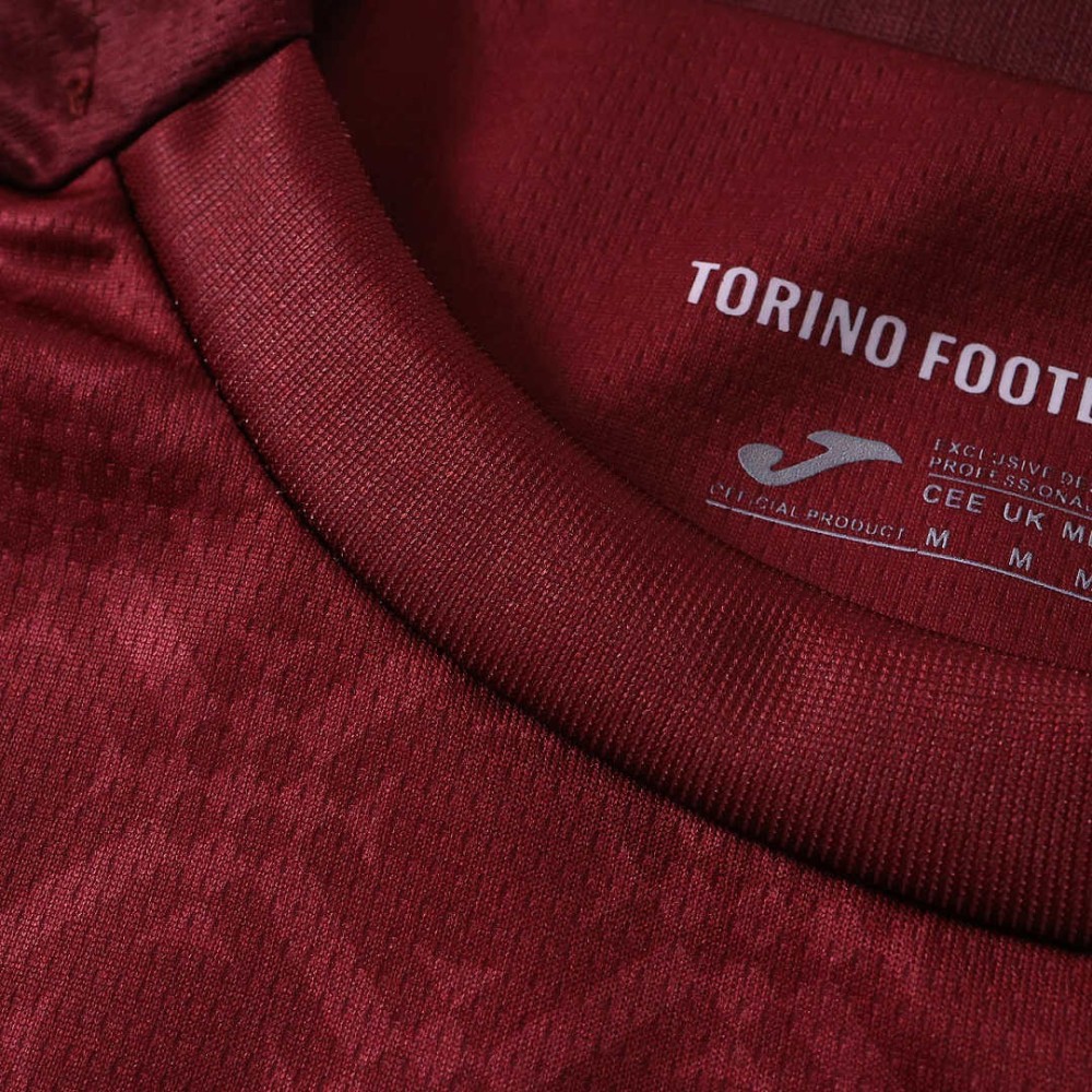 26/27 season Torino F.C. home Fan version