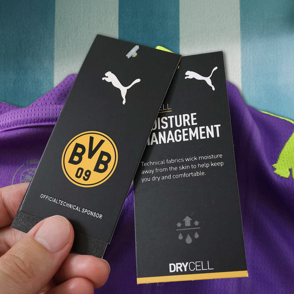 26/27 season Borussia Dortmund  third Fan version