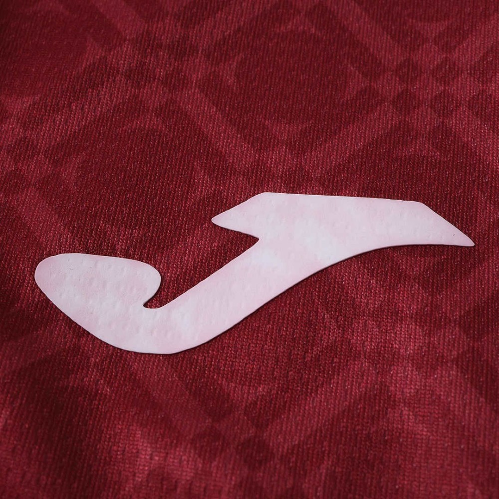 26/27 season Torino F.C. home Fan version