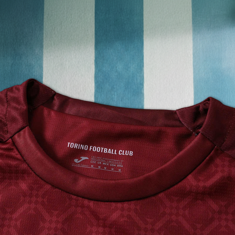 26/27 season Torino F.C. home Fan version