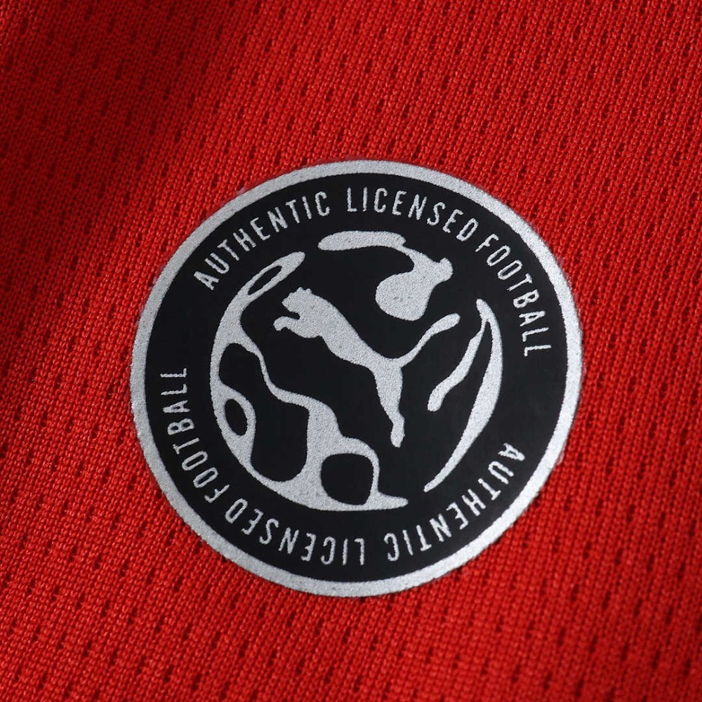 26/27 season S.C. Braga home Fan version