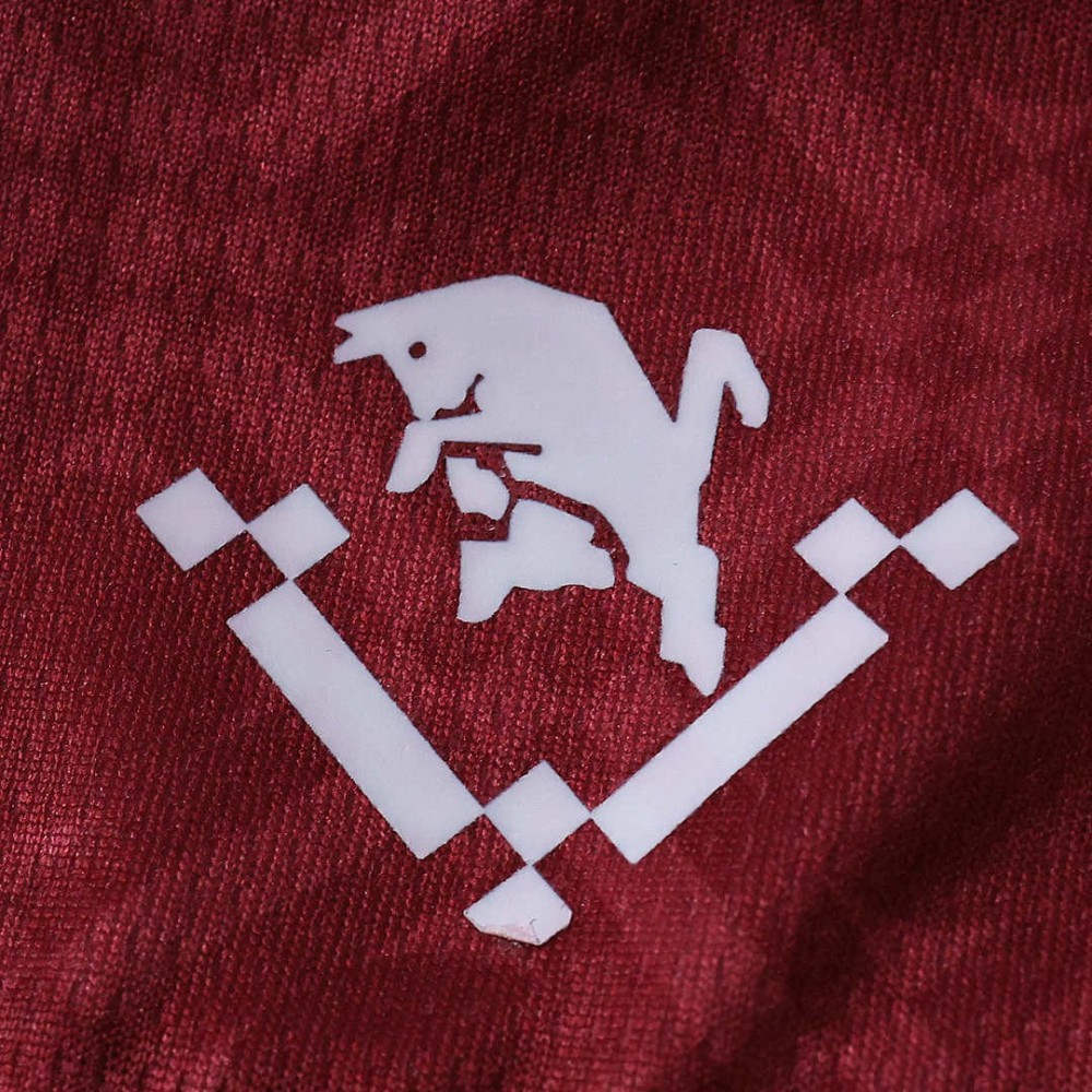 26/27 season Torino F.C. home Fan version