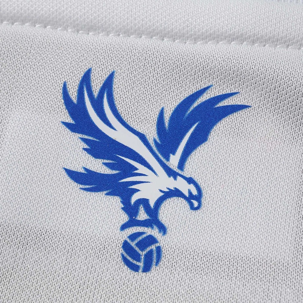 26/27 season Crystal Palace F.C. away Fan version