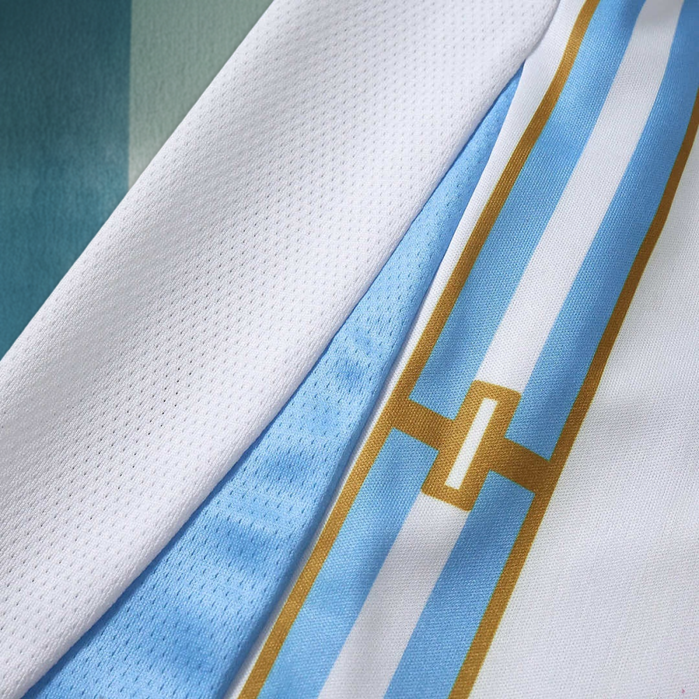 2026 FIFA World Cup Argentina Concept version Fan version