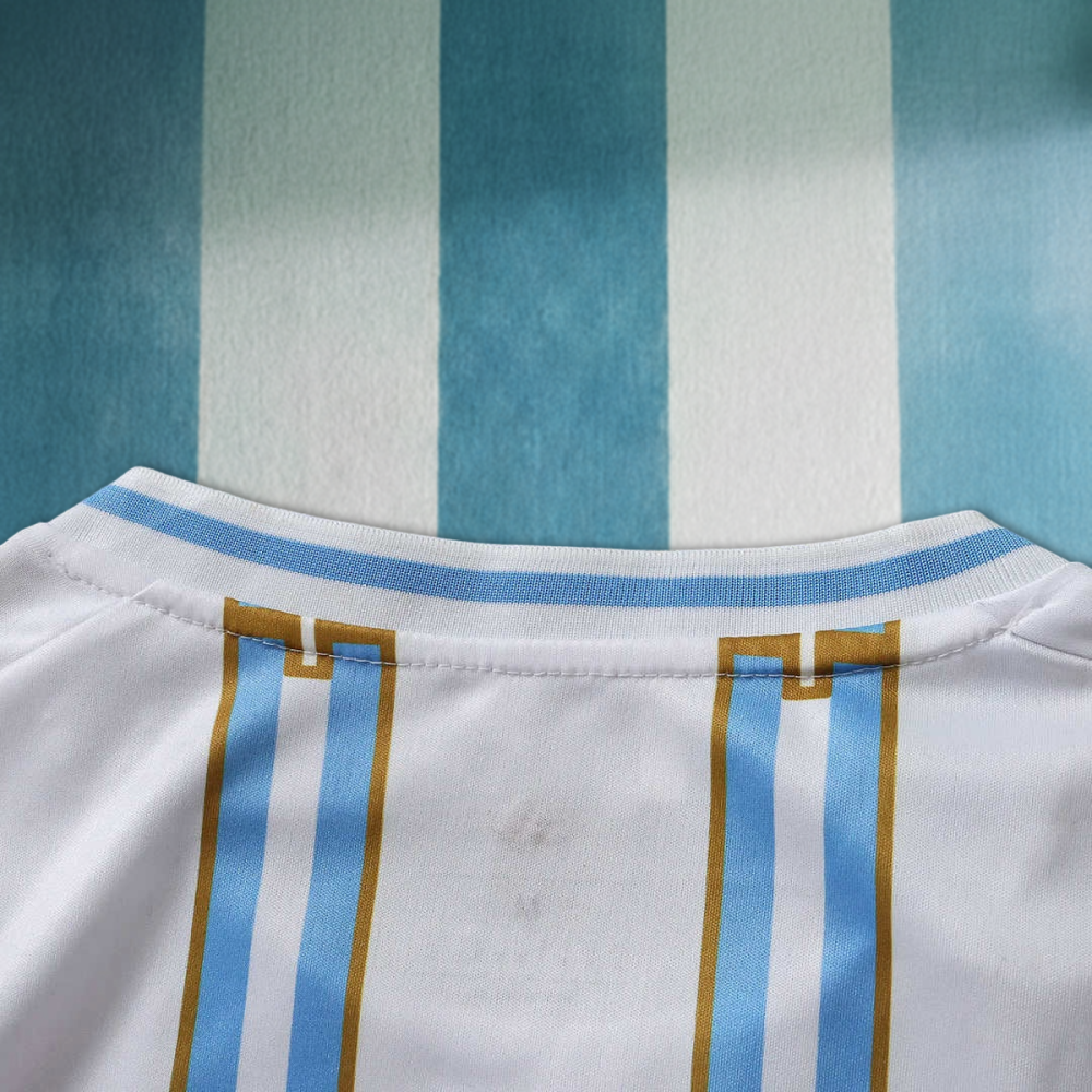 2026 FIFA World Cup Argentina Concept version Fan version
