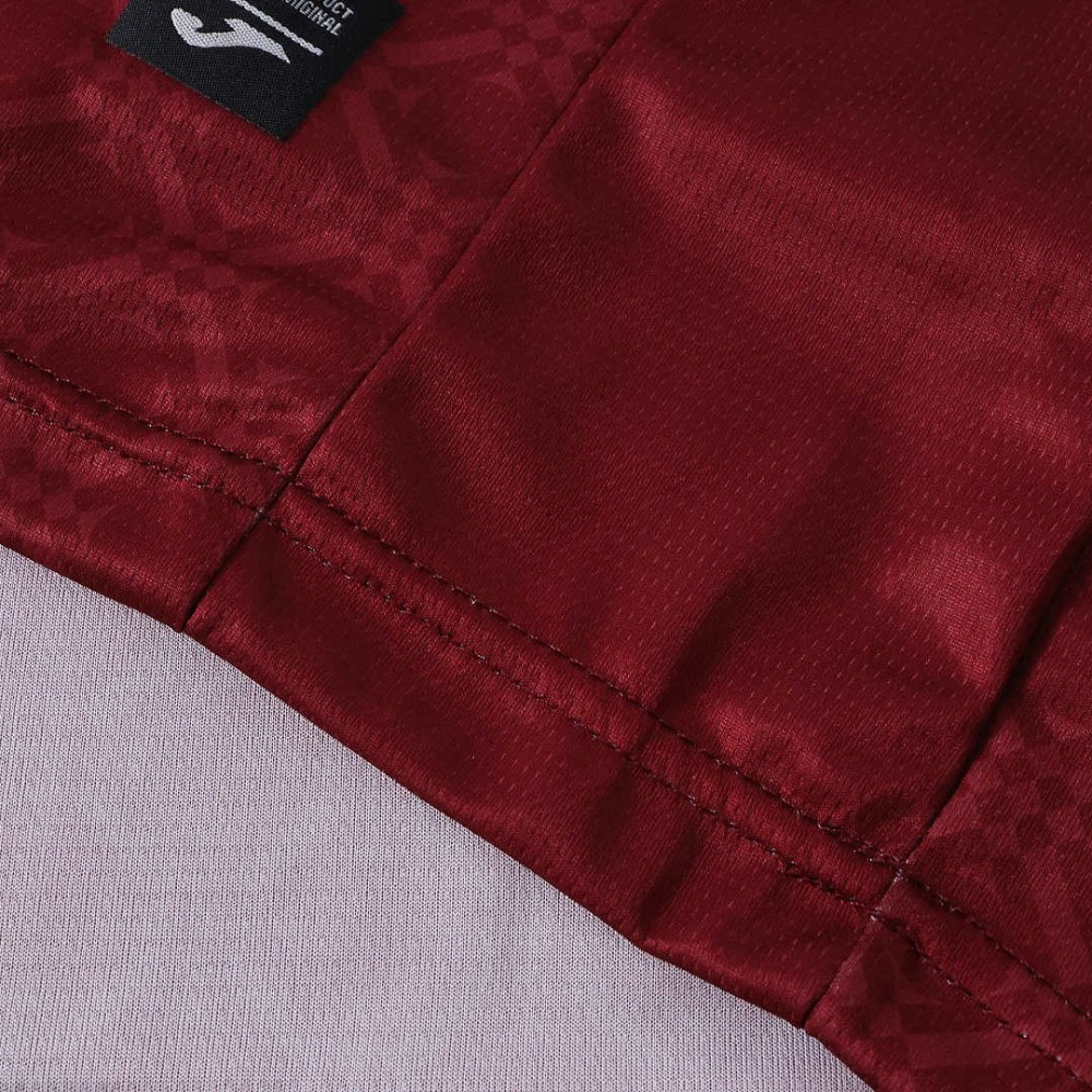 26/27 season Torino F.C. home Fan version