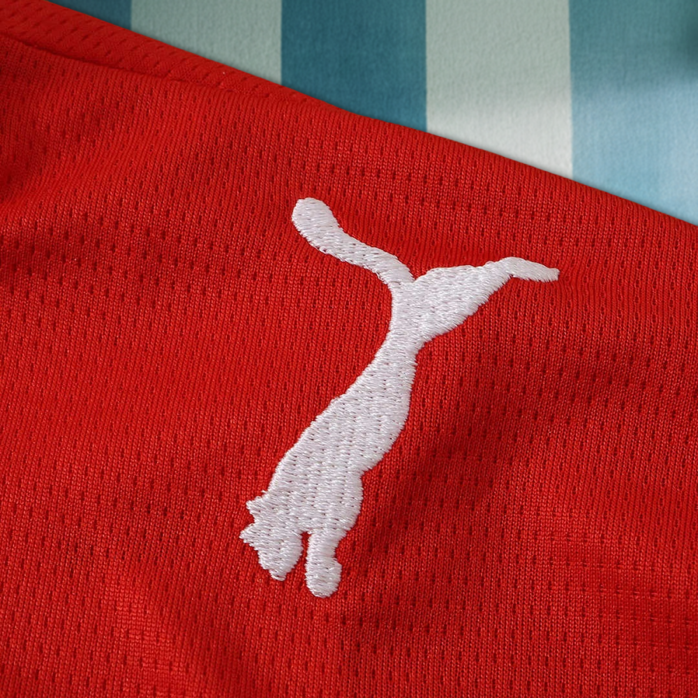 26/27 season S.C. Braga home Fan version