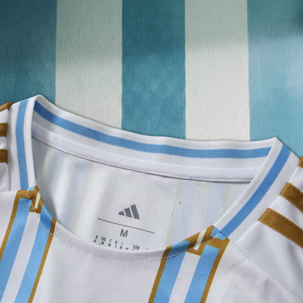 2026 FIFA World Cup Argentina Concept version Fan version