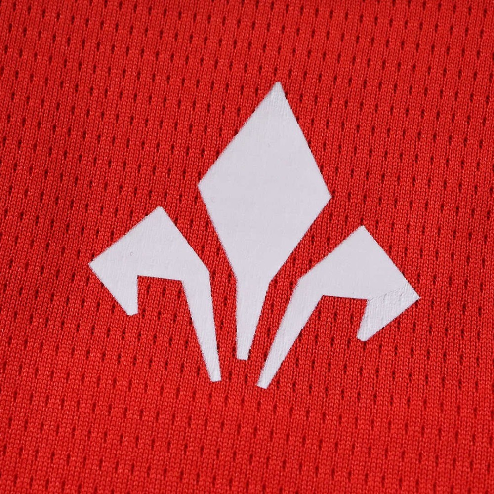 26/27 season Lille OSC home Fan version