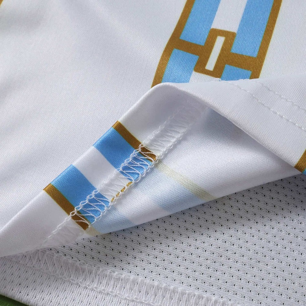 2026 FIFA World Cup Argentina Concept version Fan version