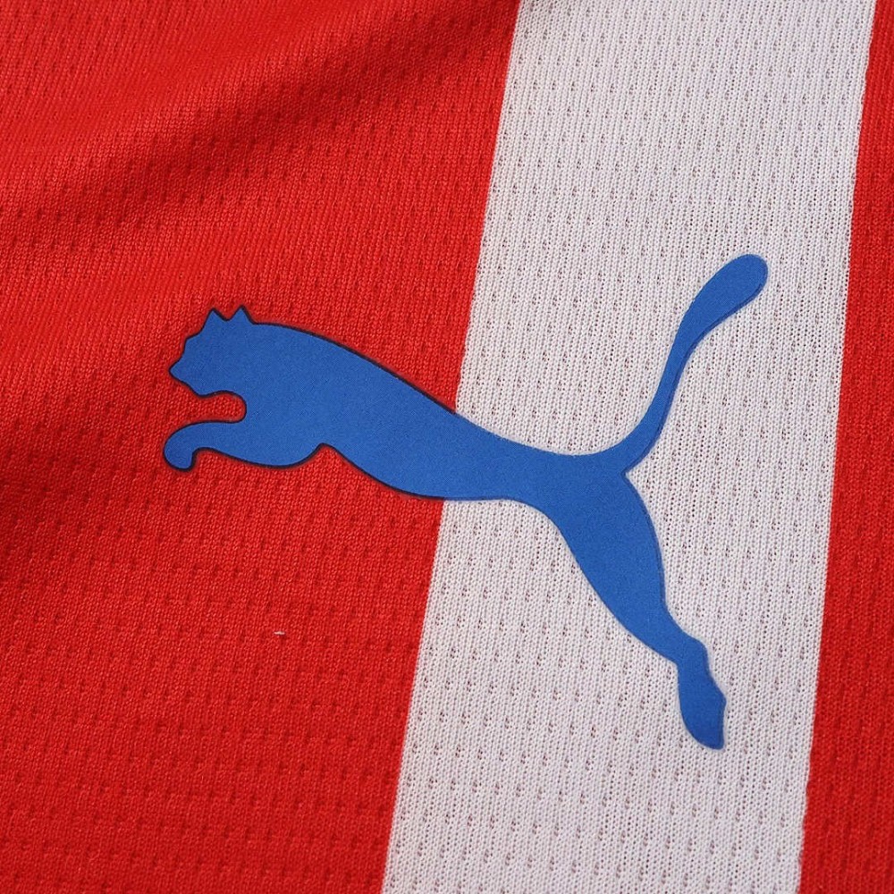 26/27 season Girona FC home Fan version