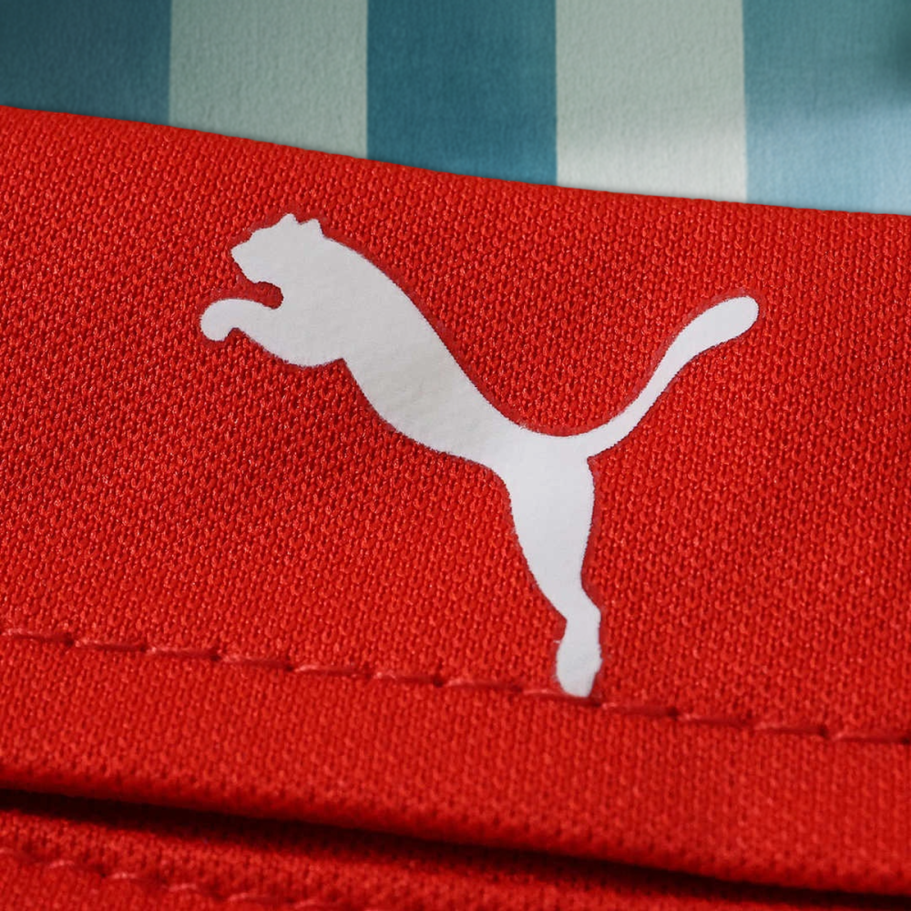 2026 F1 Ferrari Formula racing POLO