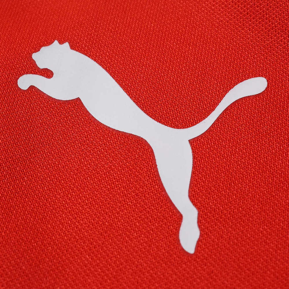 2026 F1 Ferrari Formula racing POLO