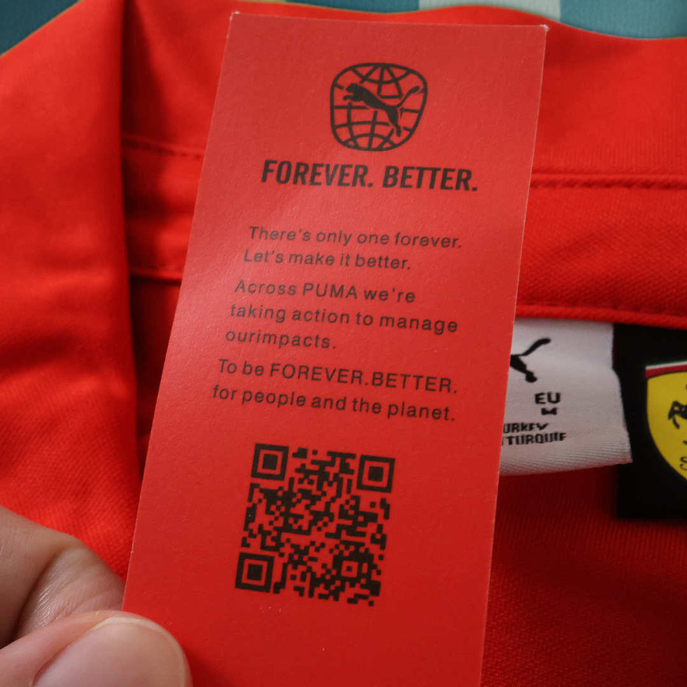 2026 F1 Ferrari Formula racing POLO