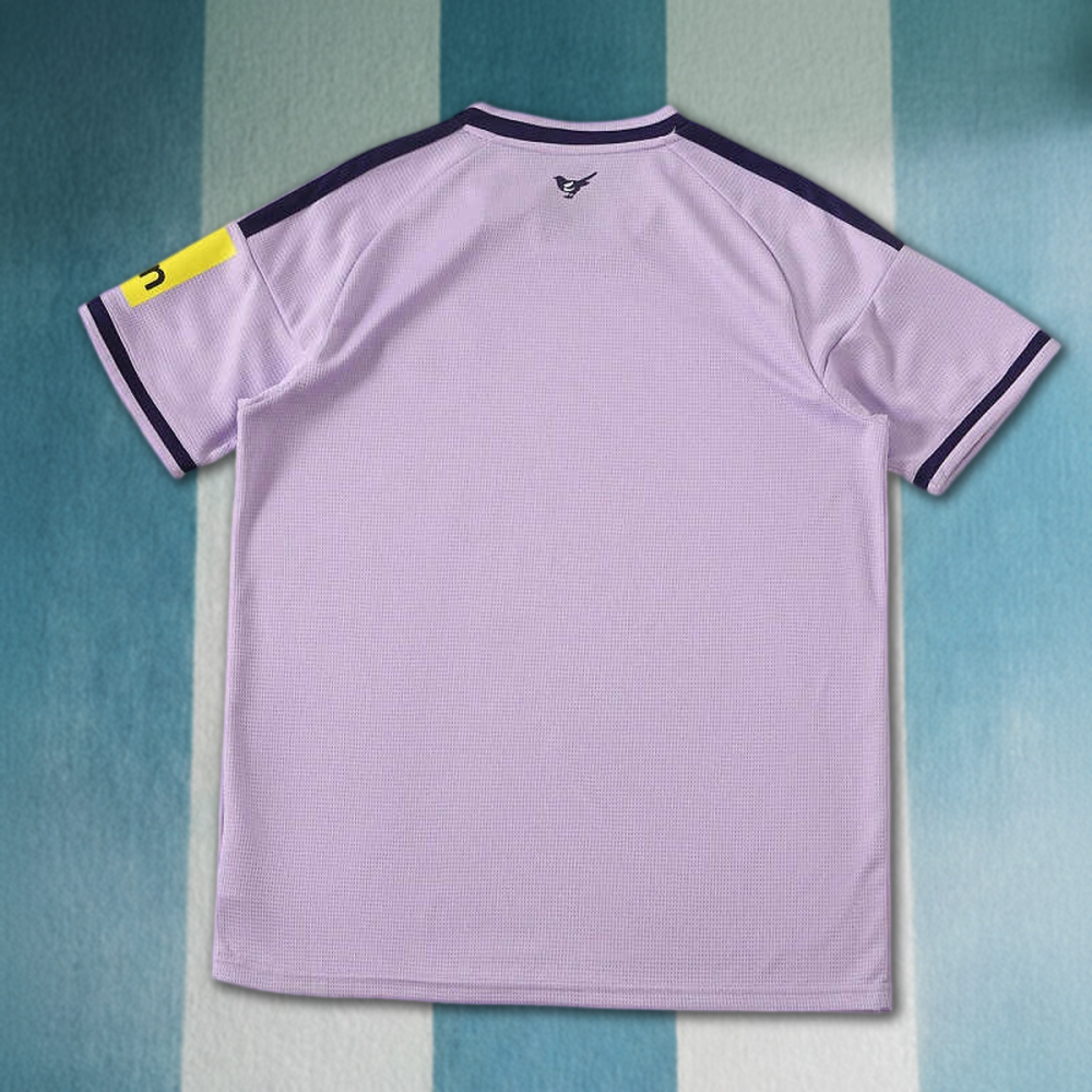 2627 season Newcastle United F.C. third Fan version