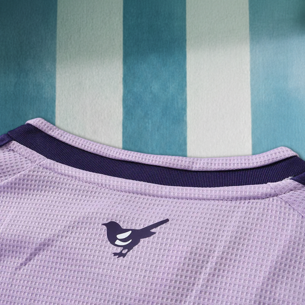 2627 season Newcastle United F.C. third Fan version