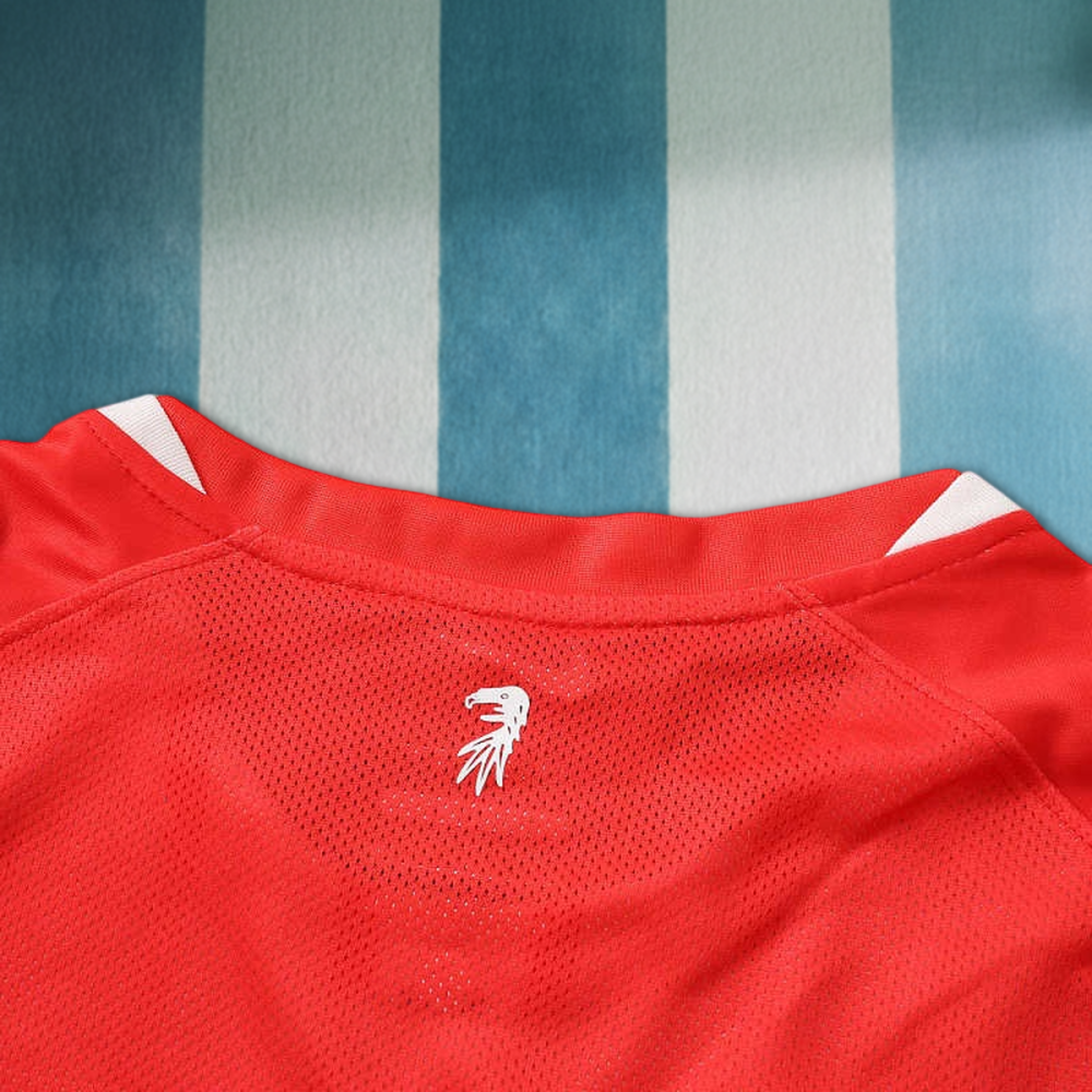 2627 season SC Freiburg home Fan version