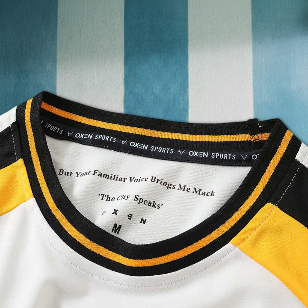 2627 season Hull City A.F.C. away Fan version