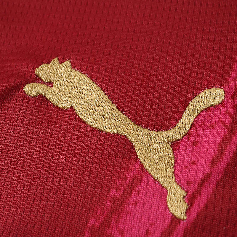 2627 season S.C. Braga away Fan version