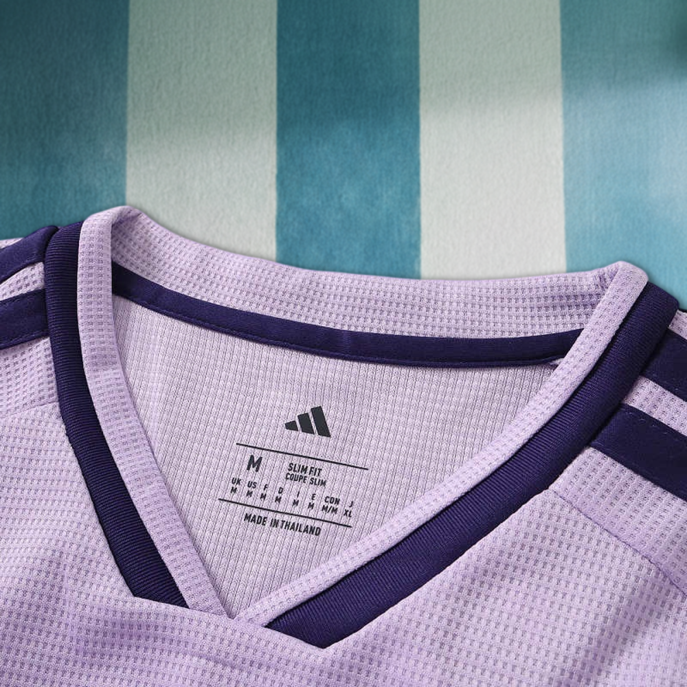 2627 season Newcastle United F.C. third Fan version