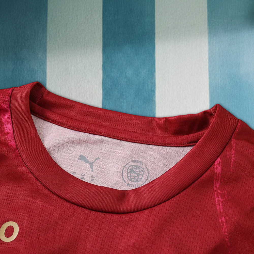 2627 season S.C. Braga away Fan version