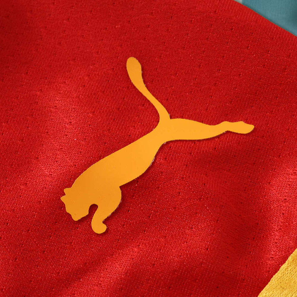2627 season Galatasaray S.K. home Player version
