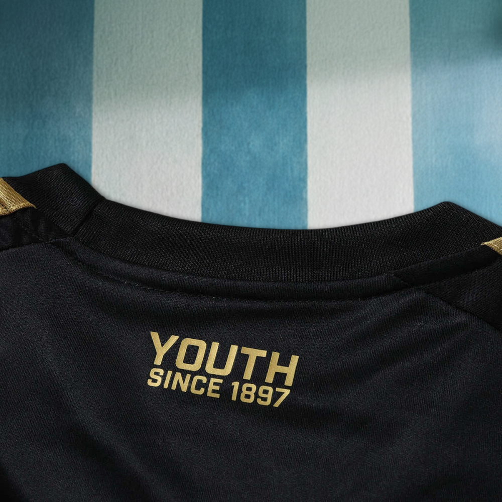 2627 season Juventus F.C. third Fan version