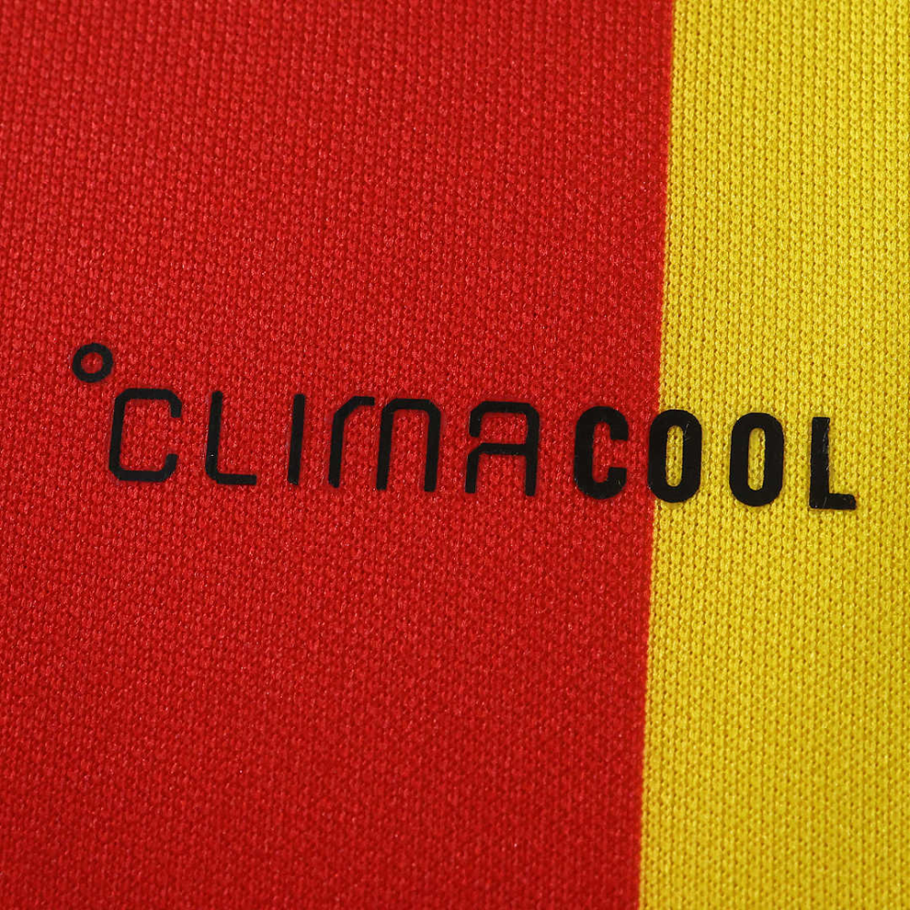 2627 season U.S. Lecce home Fan version