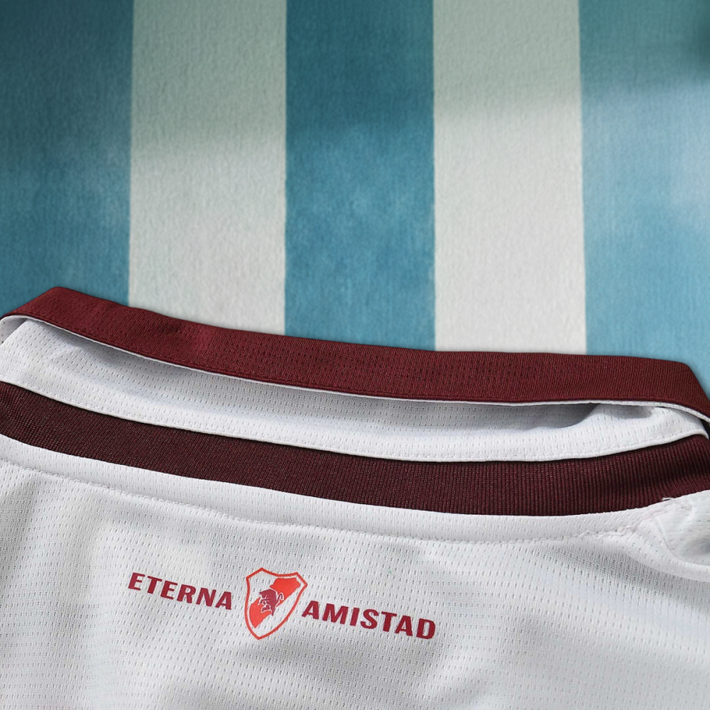 2627 season Torino F.C. away Fan version