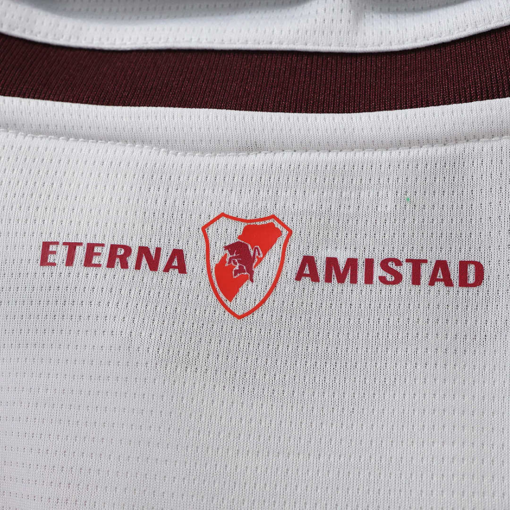 2627 season Torino F.C. away Fan version