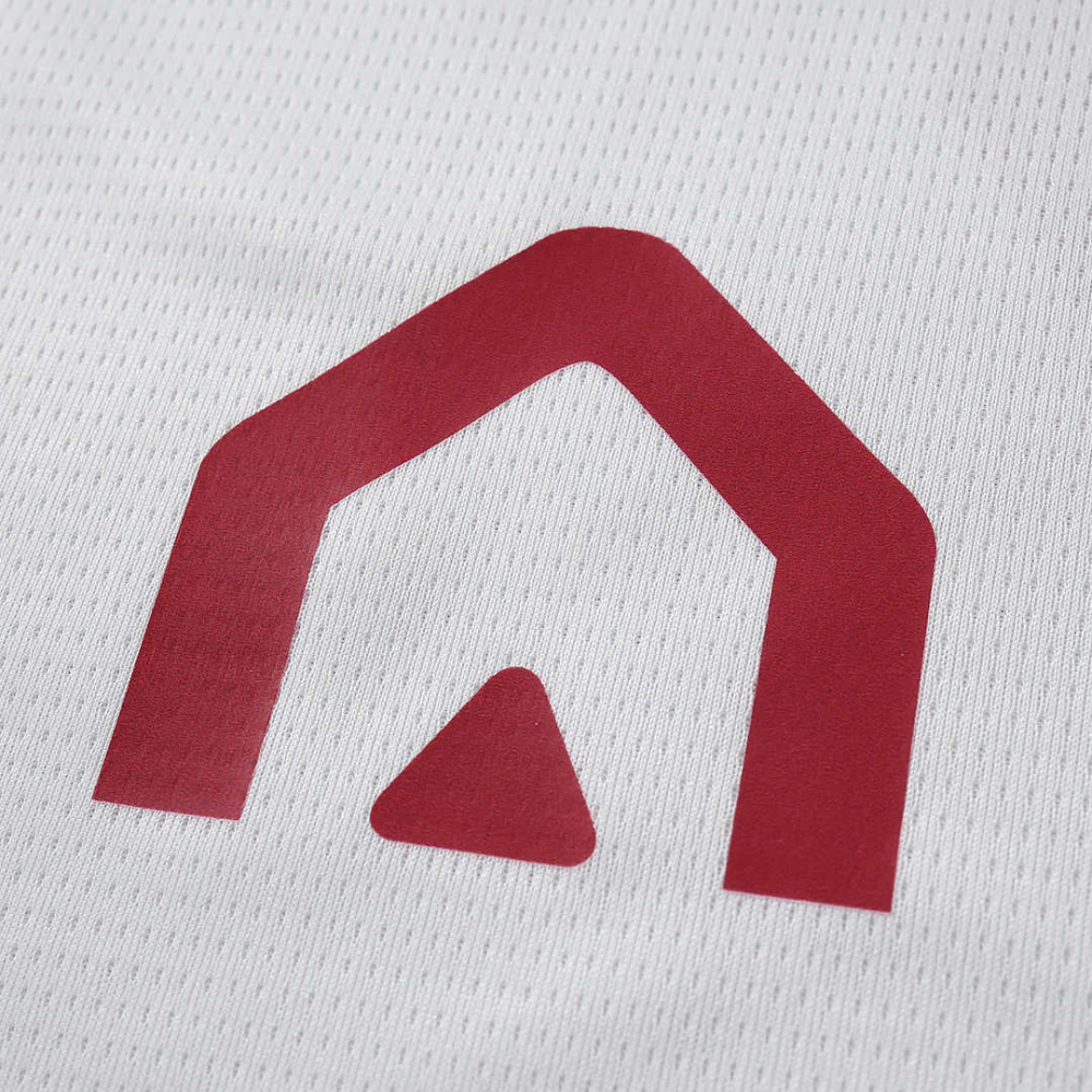 2627 season Torino F.C. away Fan version