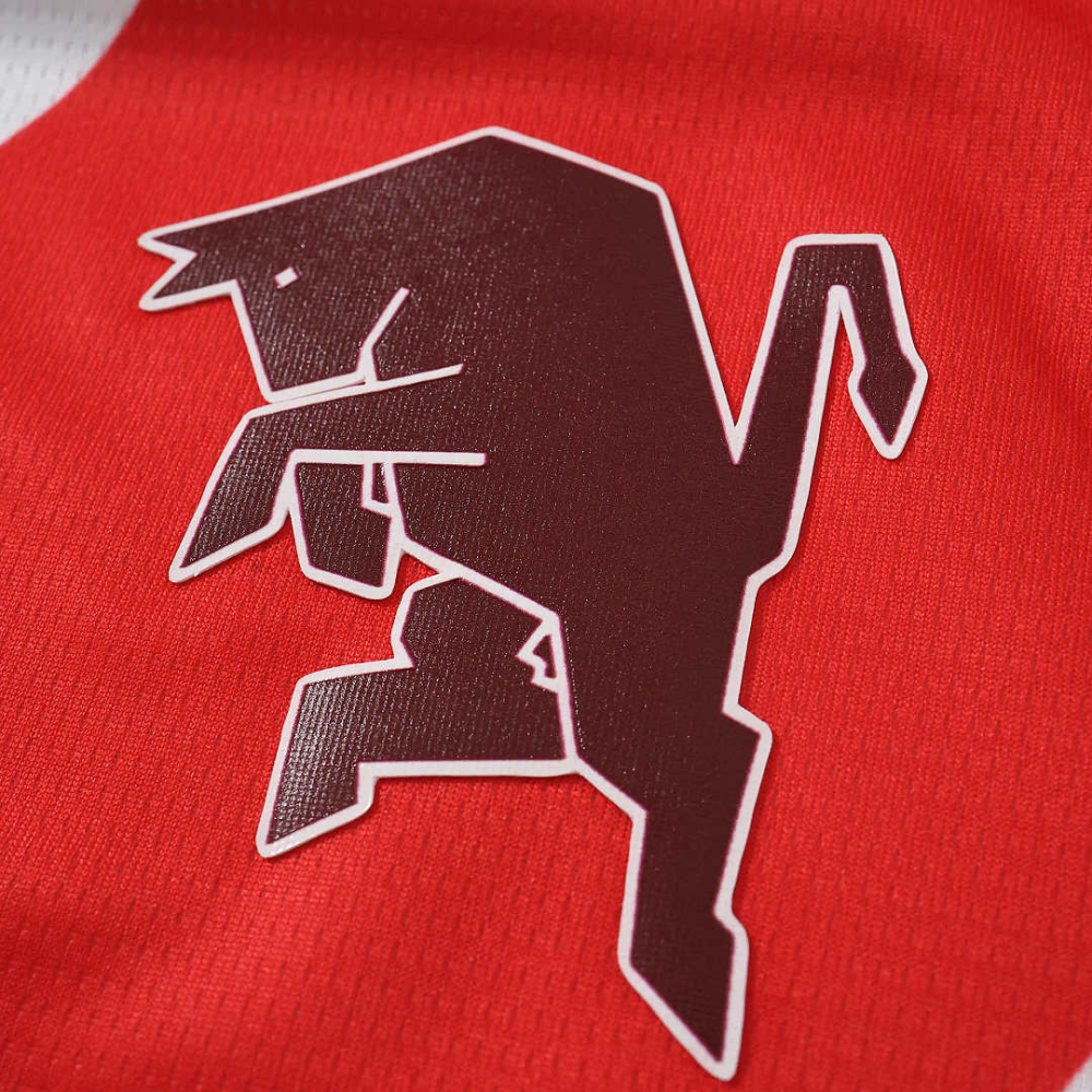 2627 season Torino F.C. away Fan version