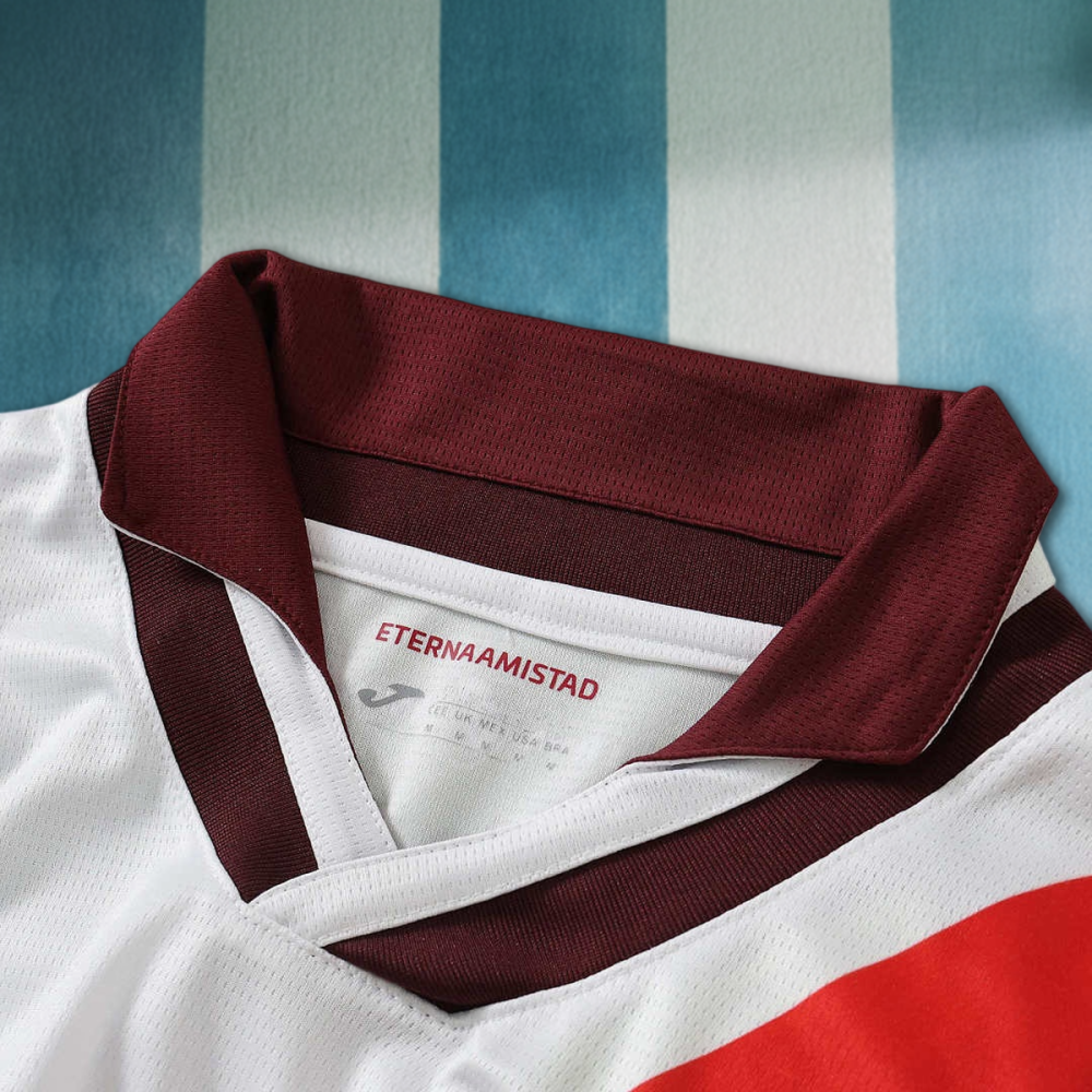 2627 season Torino F.C. away Fan version