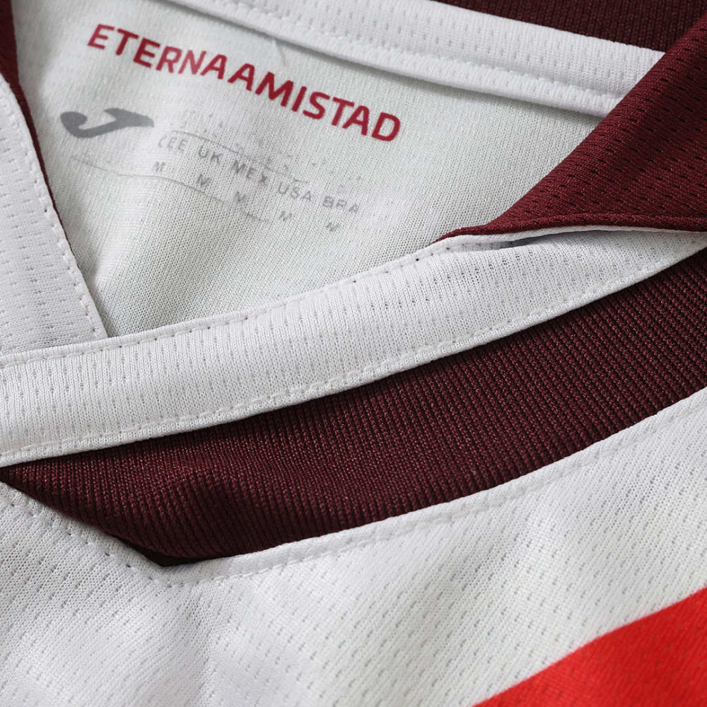2627 season Torino F.C. away Fan version