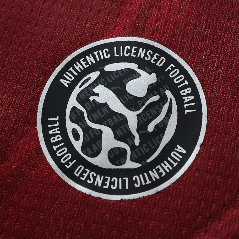2627 season S.C. Braga away Fan version