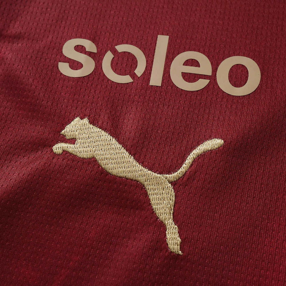 2627 season S.C. Braga away Fan version