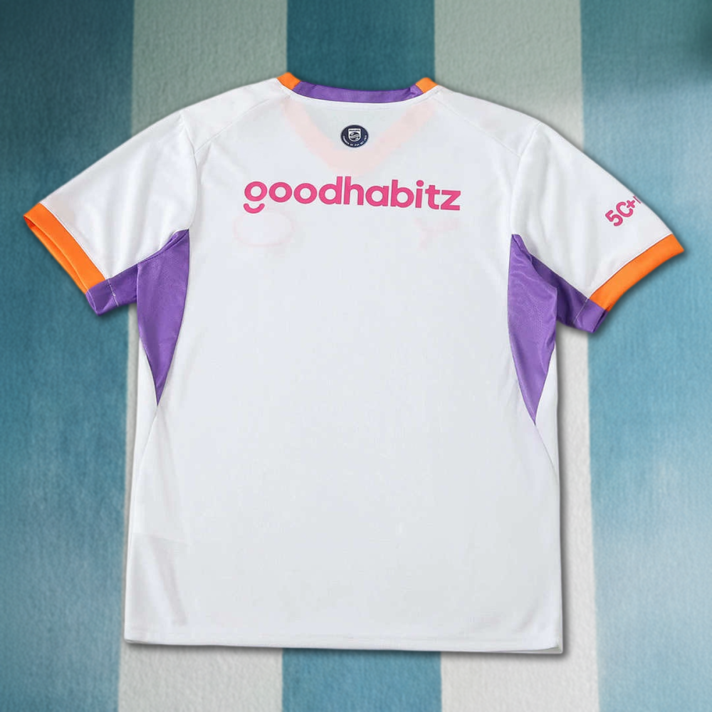 2627 season Eindhoven football club PSV away Fan version