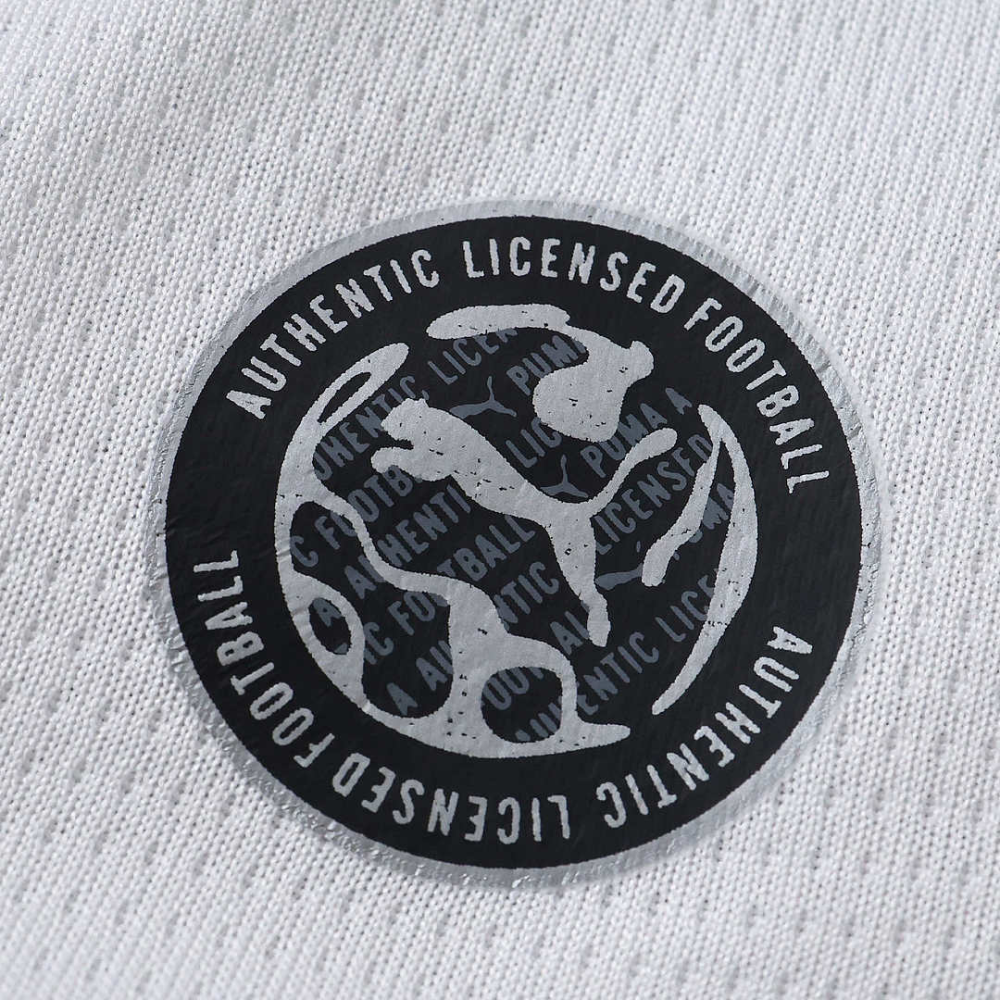 2627 season Eindhoven football club PSV away Fan version