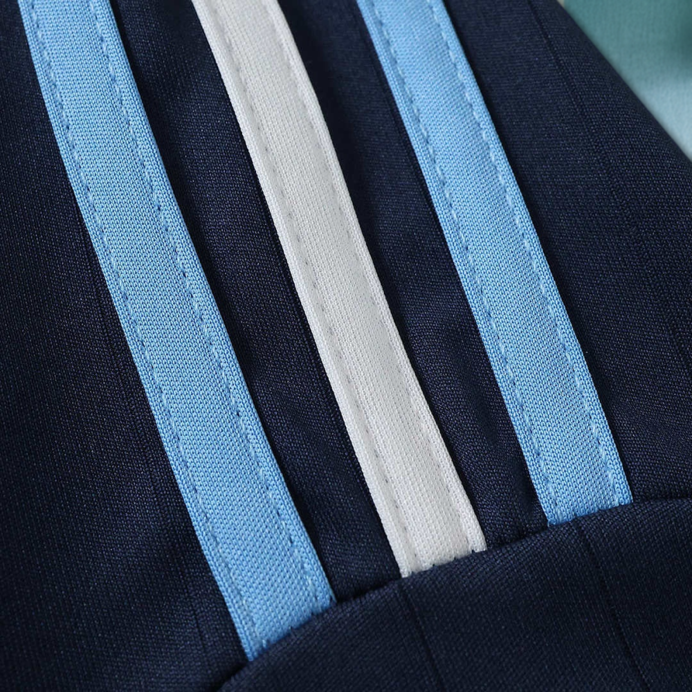 2006 World Cup Argentina away Fan version