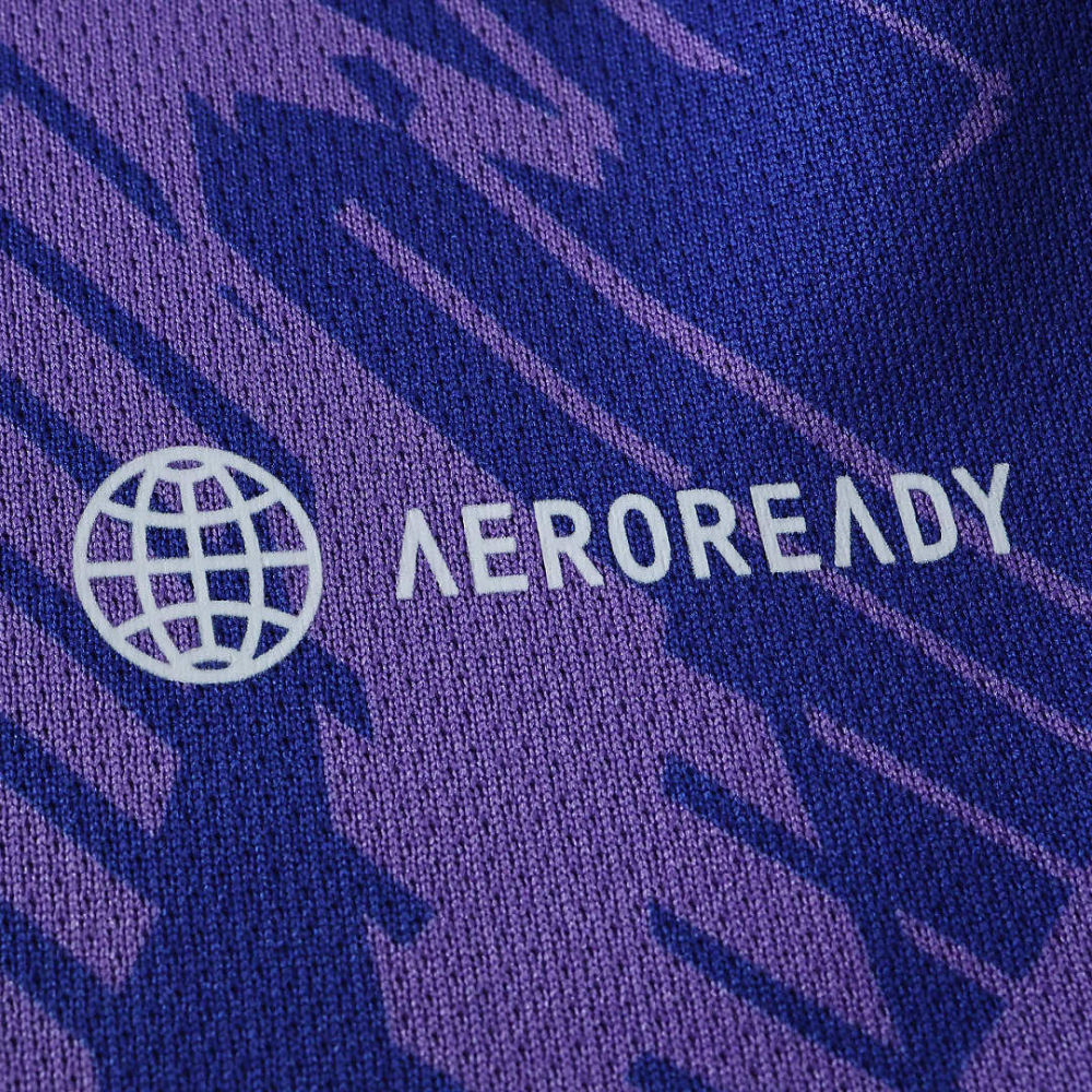 2022 World Cup Argentina away Fan version
