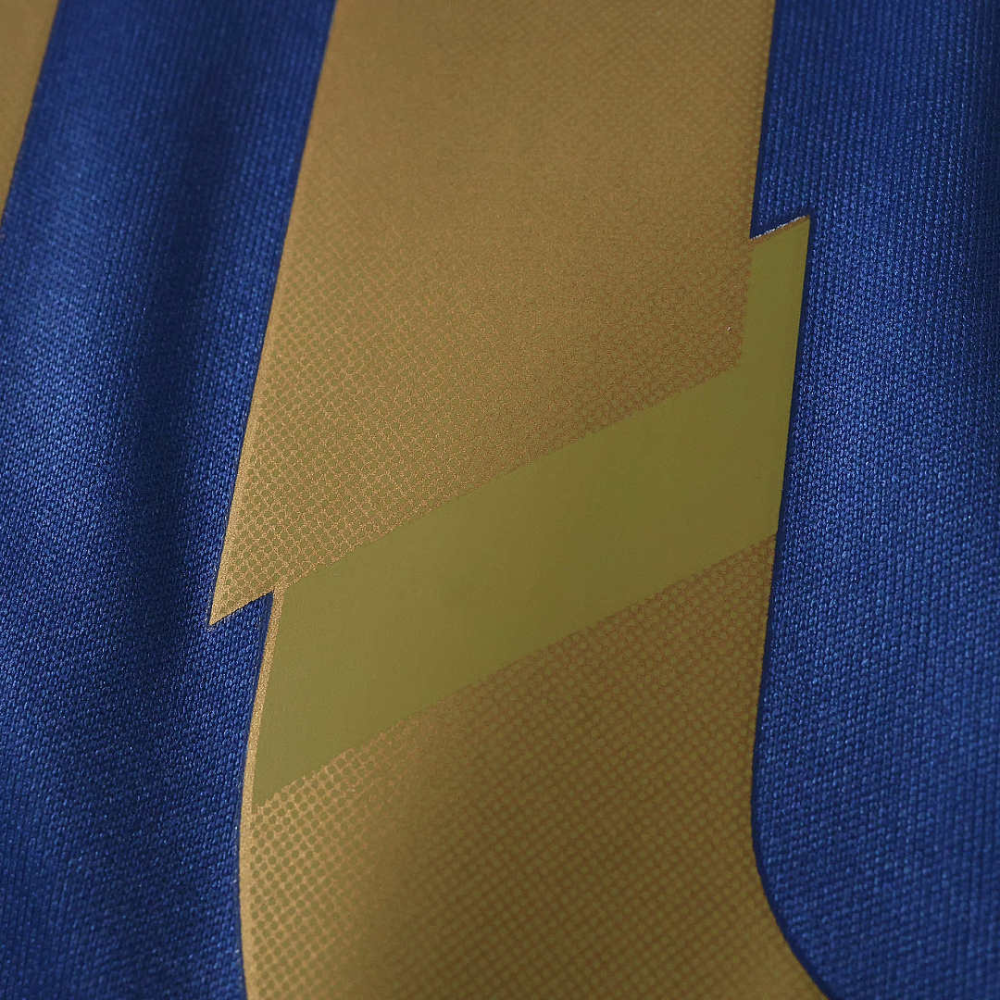 2014 World Cup Argentina away Fan version