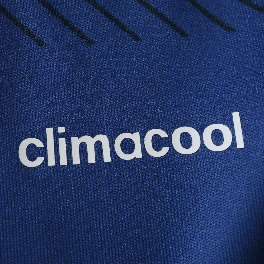 2014 World Cup Argentina away Fan version