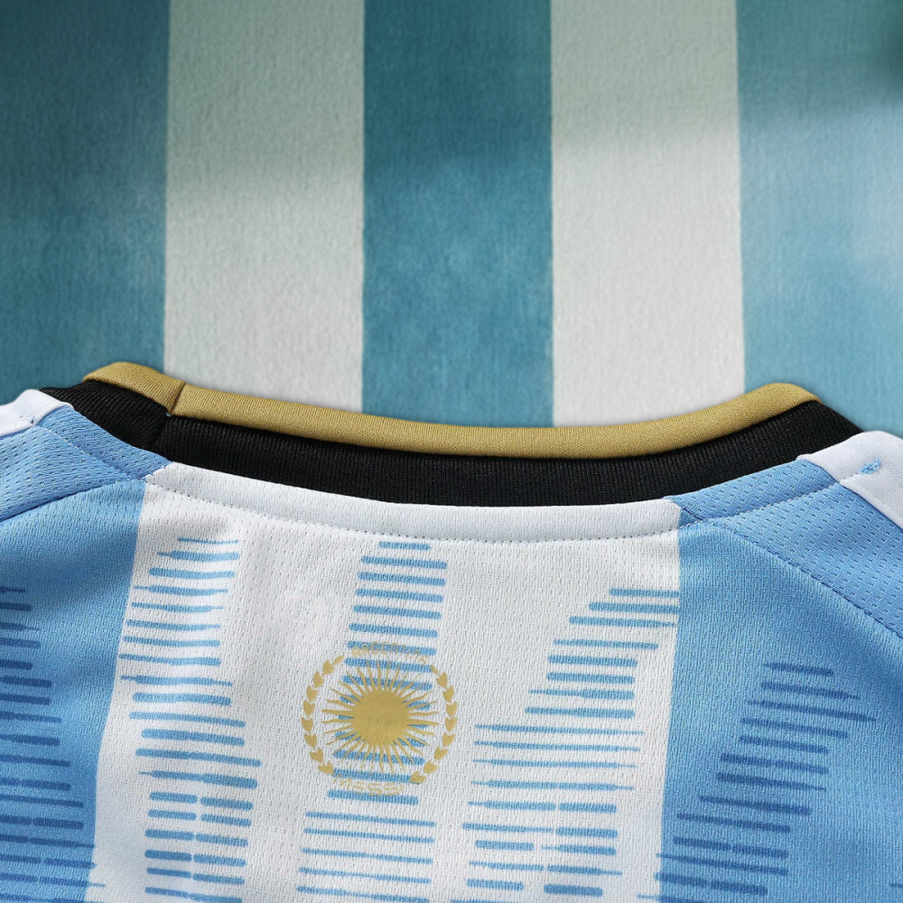 2627 Argentina Concept version Fan version