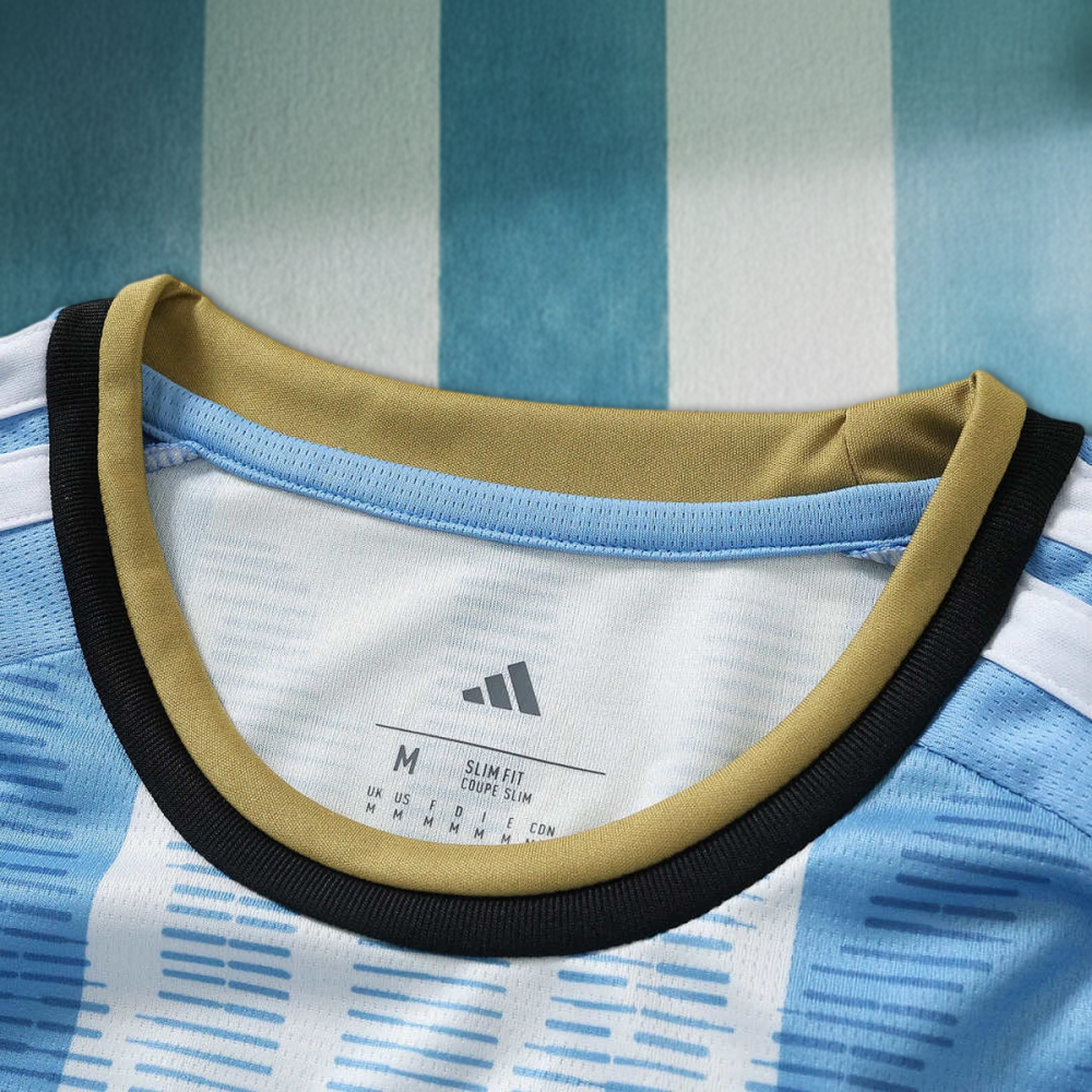 2627 Argentina Concept version Fan version