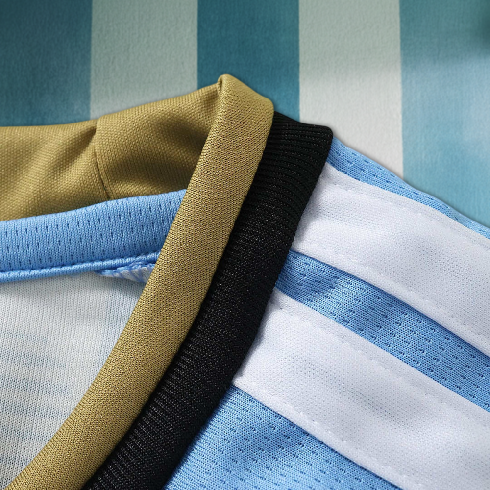 2627 Argentina Concept version Fan version