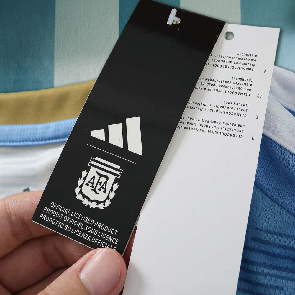 2627 Argentina Concept version Fan version