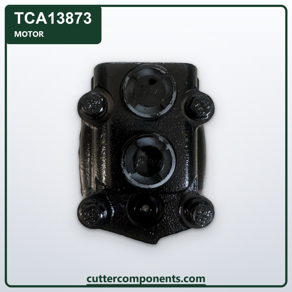 C-TCA13873