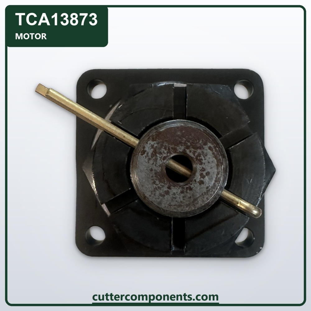 C-TCA13873
