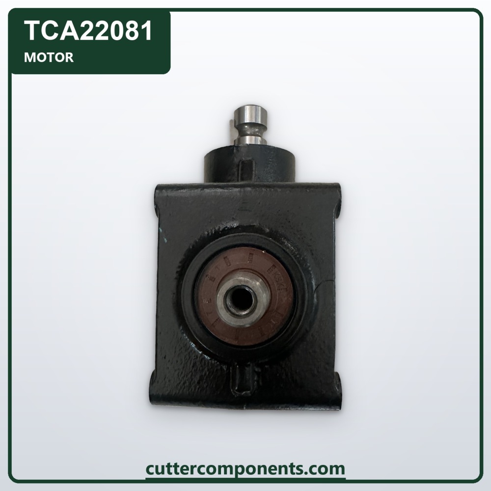 C-TCA22081
